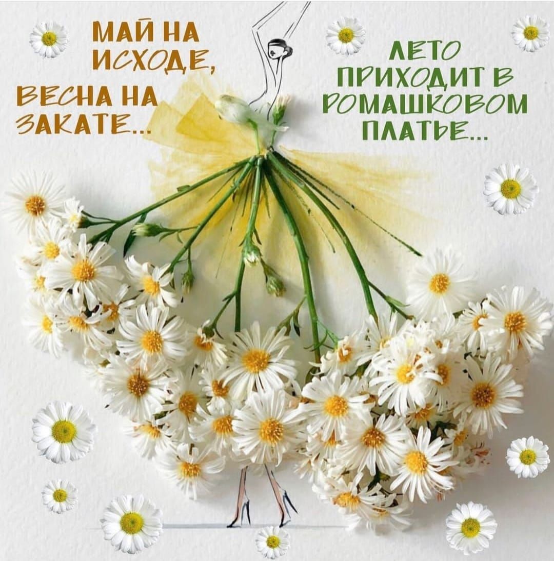 МАЙ НА ь мата изход пгихддит в ЁЁ А тмдштвом гдкдтк