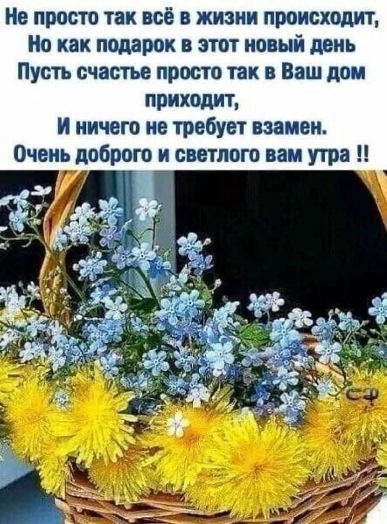 Не просто так всё в жизни происходит Но как подарок и этот новый день Пусть счастье просто так в Ваш дом приходит и ничего не требует взамен Очень доброго и светлого вам утра