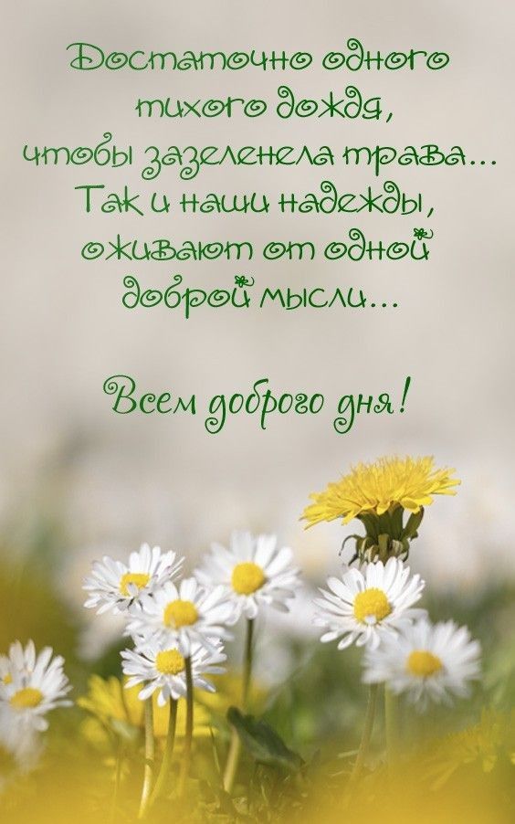 вают миэт ЭФЖЁЁЬ чтэёы дадишюда Так и наши Мы Жшъает вт Энэд Зебра мыеш Всеи займа дна