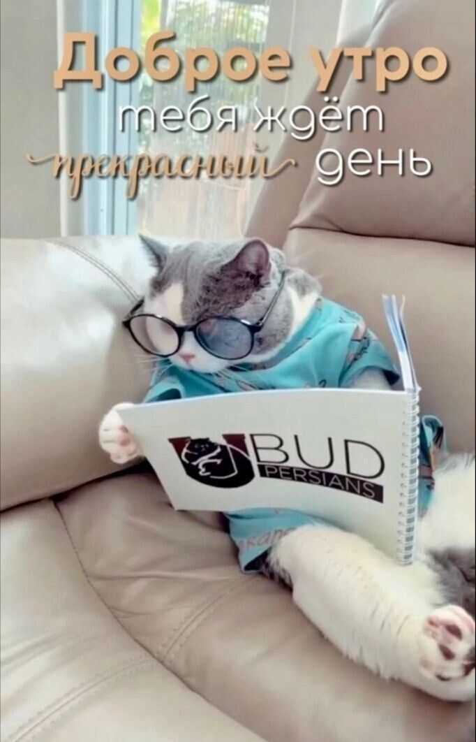 пеблилке а Ц 1ылатО Эао Щ Ъ ы