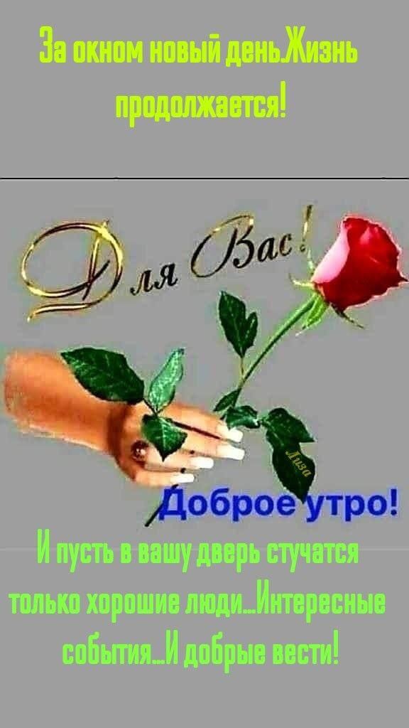 доброе тро тт миас шпагат тришна маш штаты идиш 30 991 дитё
