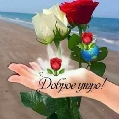 арии тгги _