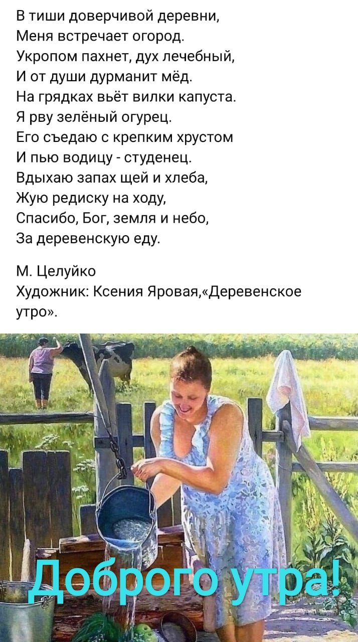 В тиши доверчивой деревни Меня встречает огород Укропом пахнет дух лечебный И от души дурманит мёд На грядках вьёт вилки капуста Я рву зелёный огурец Его съедаю с крепким хрустом И пью водицу студенец Бдыхаю запах щей и хлеба Жую редиску на ходу Спасибо Бог земля и небо За деревенскую еду м Цепуйко Художник Ксения ЯроваяДеревенское утро