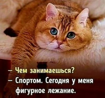 Чем заиимаешьёя Спортом Сегодня у меня фигурное шине