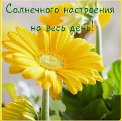 Солнечного наст оёния НО БССЬ