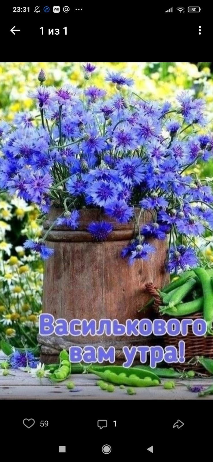 2311 Ш и г 1из1