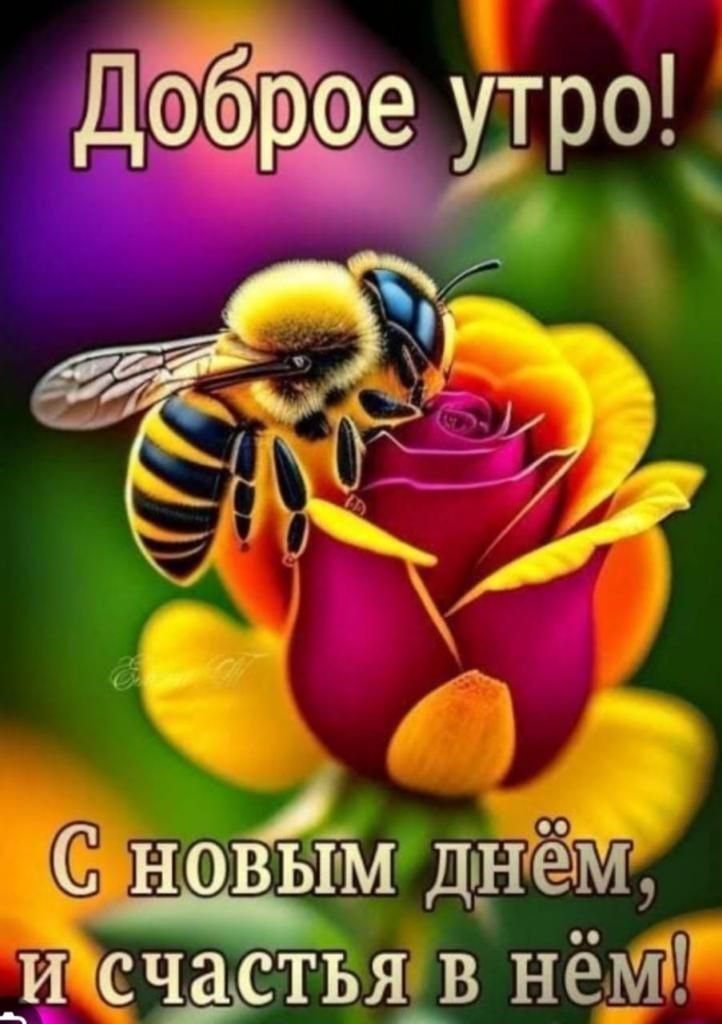 С ноівьтТм днём _ц състьяр нёМ