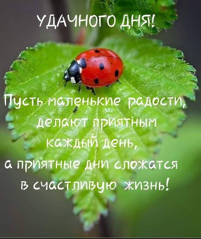 УДАЧН ГО ДНЯ га 33 шать пренькие руст _17 _ Ёж ангин а счдггйэшзчизнь