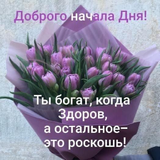 и Ёе ТыбогЪЁкбгда доров _ а обталвйбеі _ то роскошь