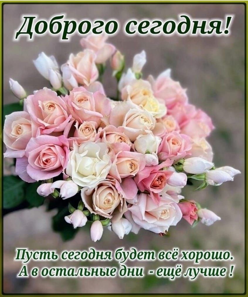 Доброго Пусть сегодня будет всёгхорошо А воспшльные дни