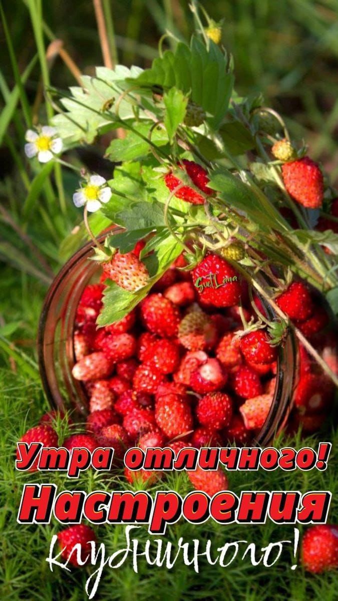 _ Ц в А Муничит