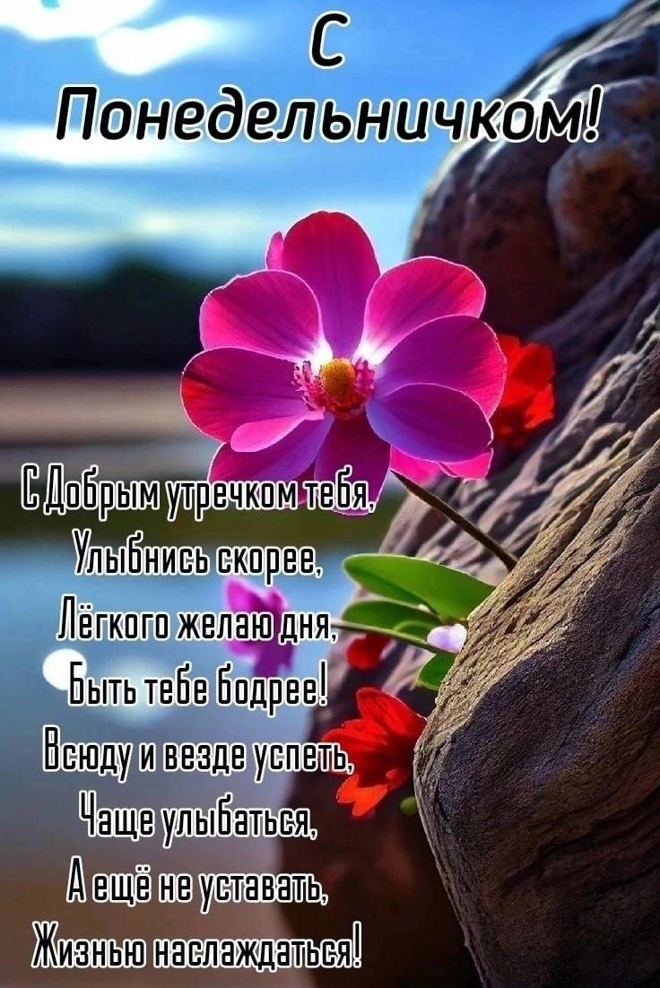 увтавать_ ЖЁШЁШ НВЕПЗЖЦЭТЬБЯ