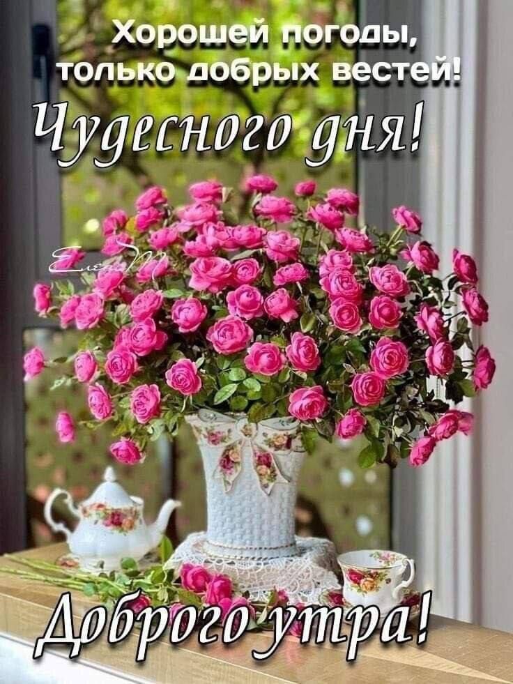 хорошей ротЬЬы только добрых