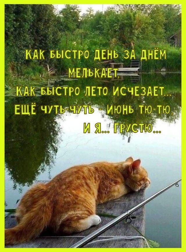 чбо оаа