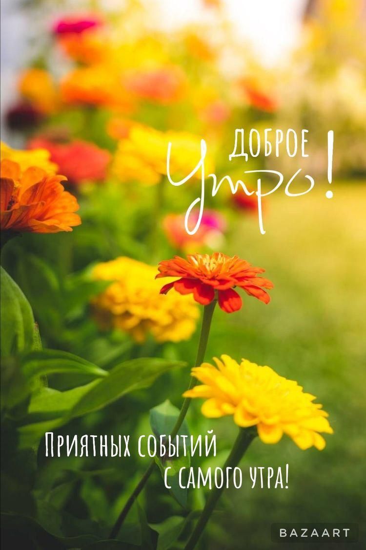 ПРИЯТНЫХ ОБЫТИЙ АМОГО ЧТРА вдиААпт