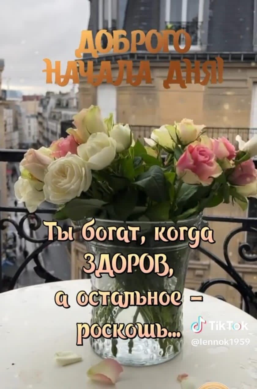 Ты ббгат ког9а