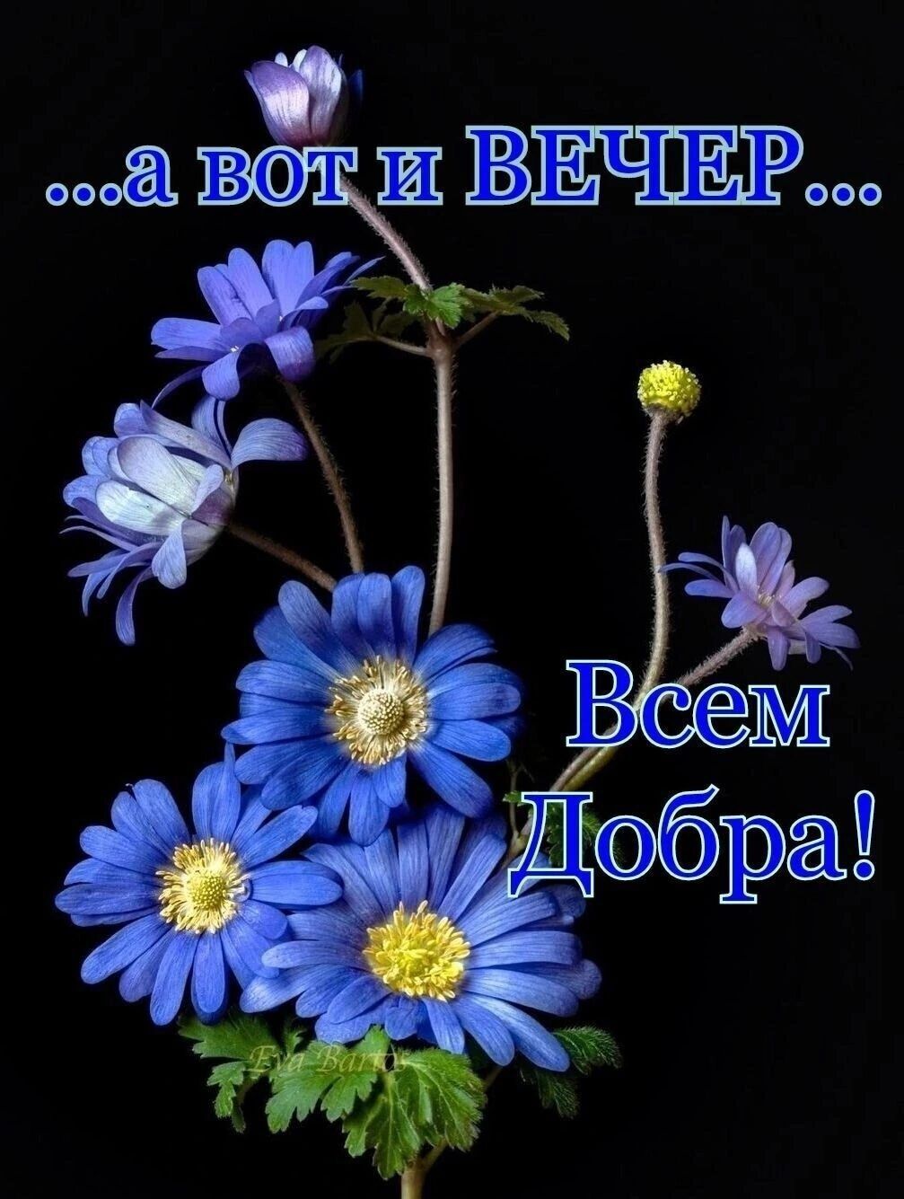 ЖЕЧЕЁМ 44 _