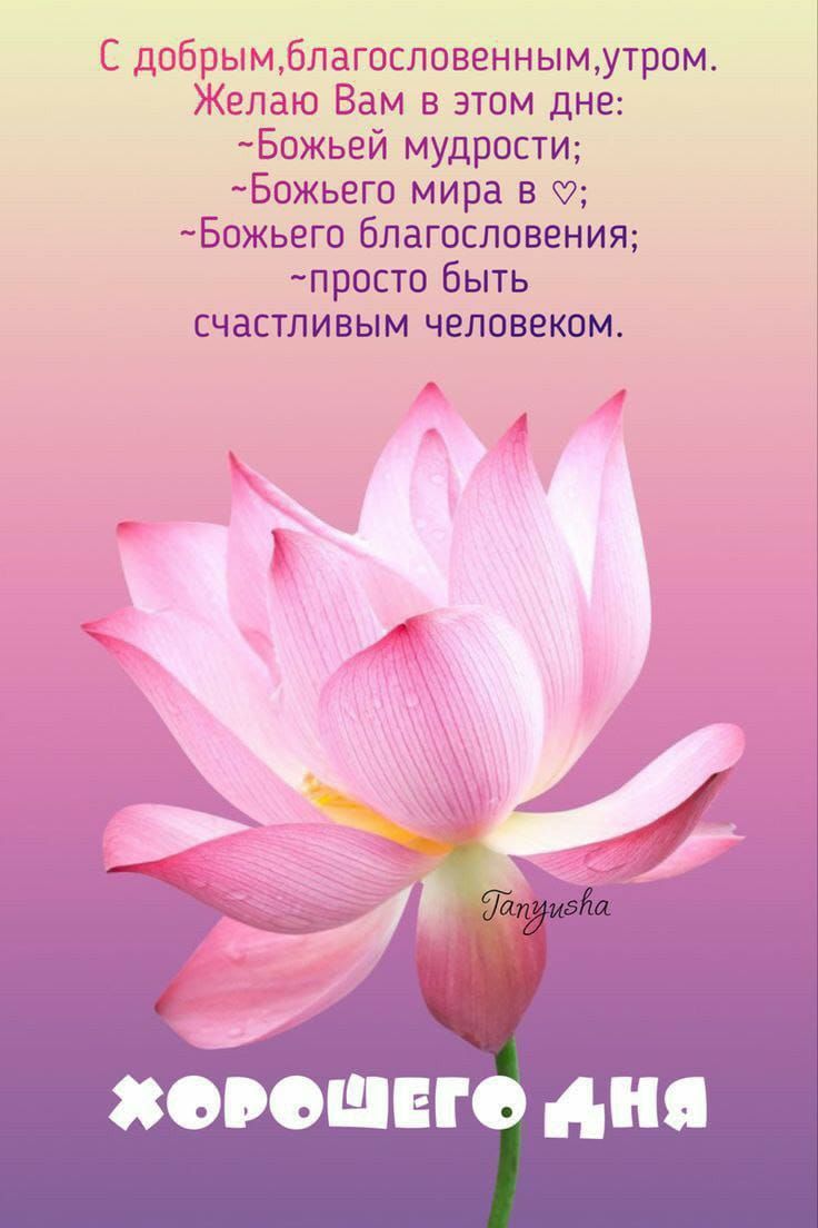 ОРОШЕГО АНЯ