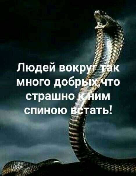 Людей вокру много добр