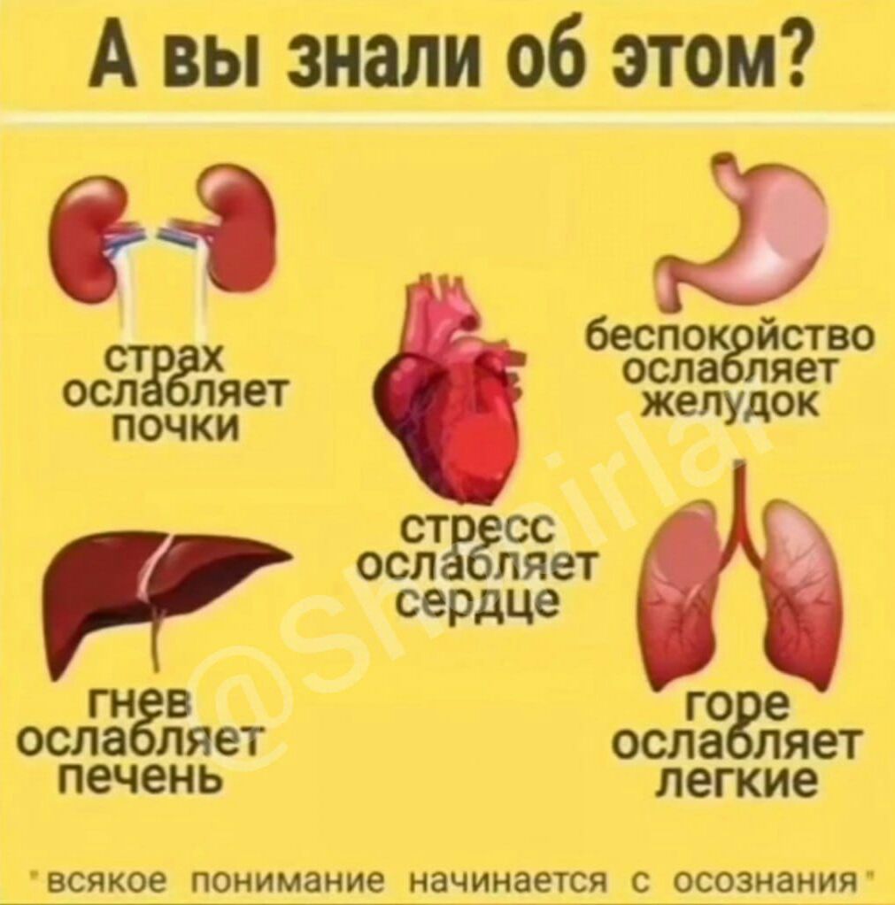 А вы знали об этом и 39 бесп ство Я осп яет почки желудок ГО СТ оспЁЁЁет сердце ГН В ОСИН ет осла печень легкие всякоіщанимание_начинаетса_с_осознаиия