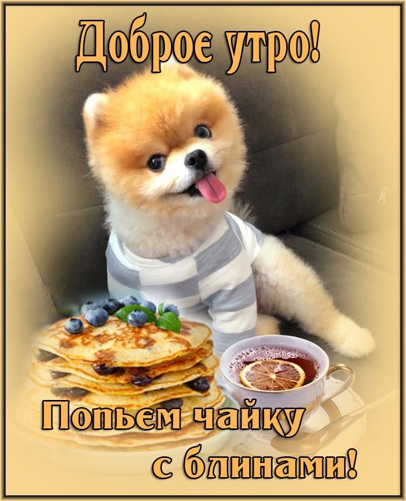 1шшшёлшшй