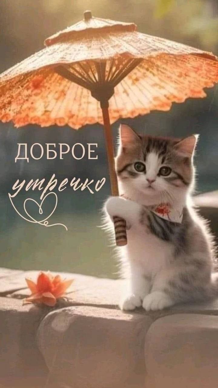 ДОБРЬЁ