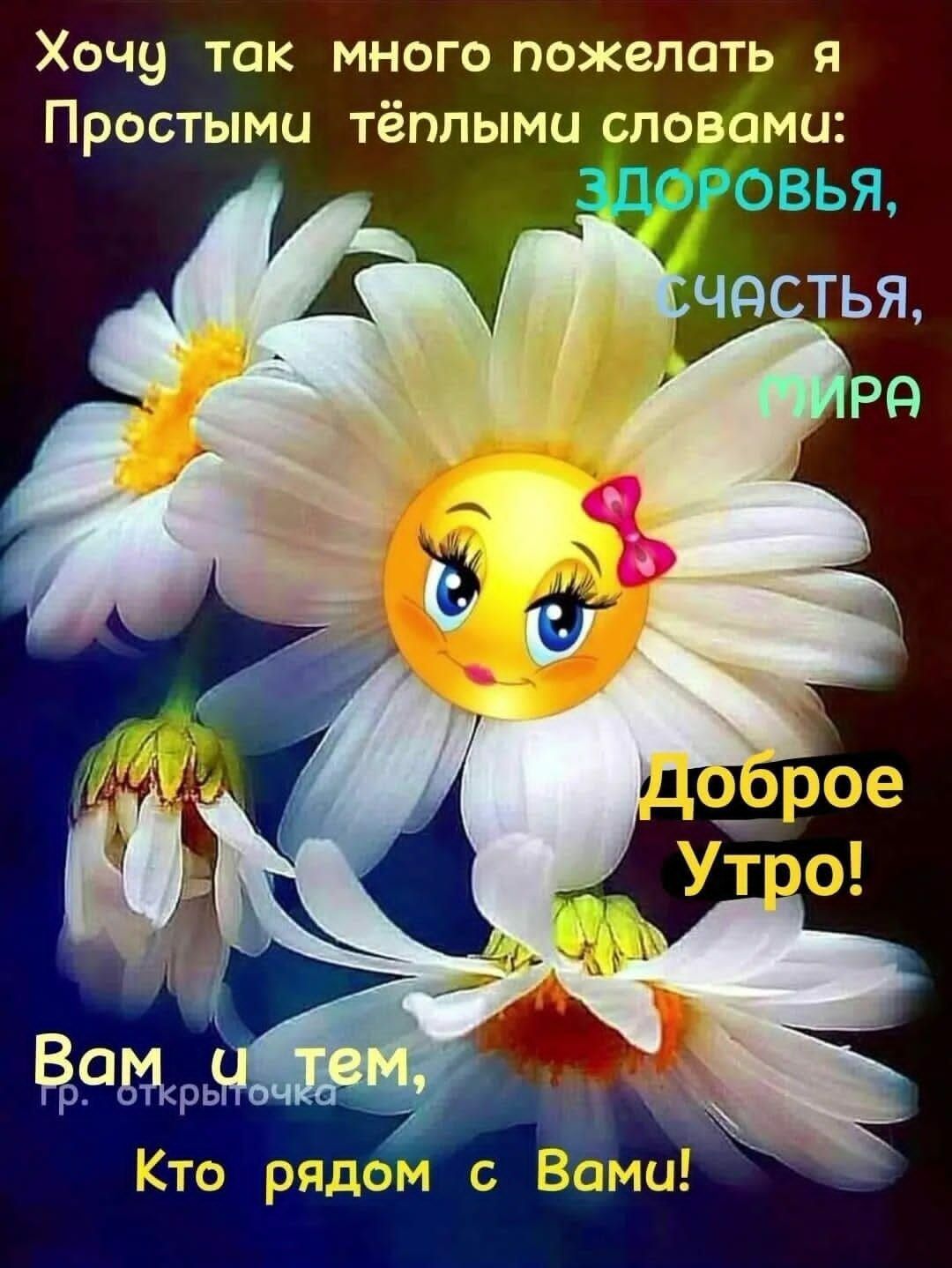 Хочу так много пожелать Простыми тёплыми словами ЗДОРОВЬЯ