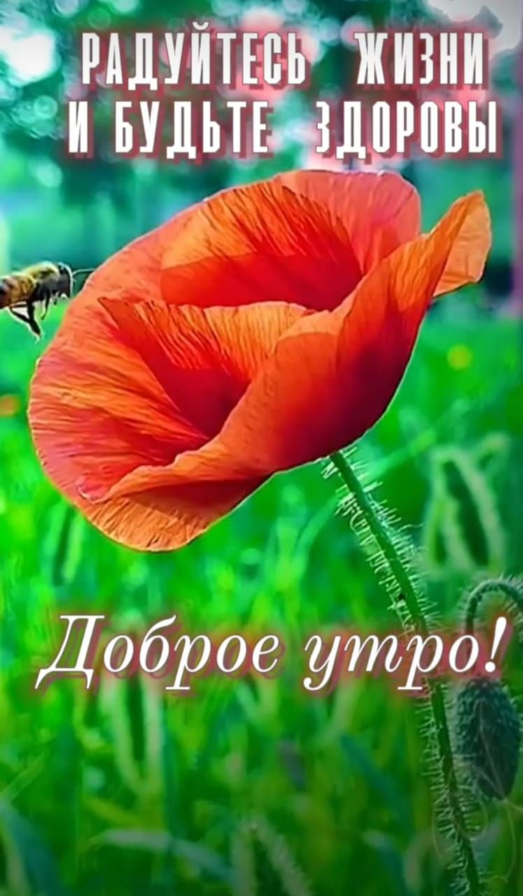 Дёёрое утРО