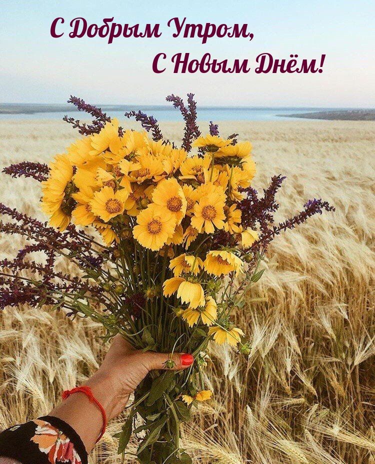 С Юобрши Утром С Подии Юнём