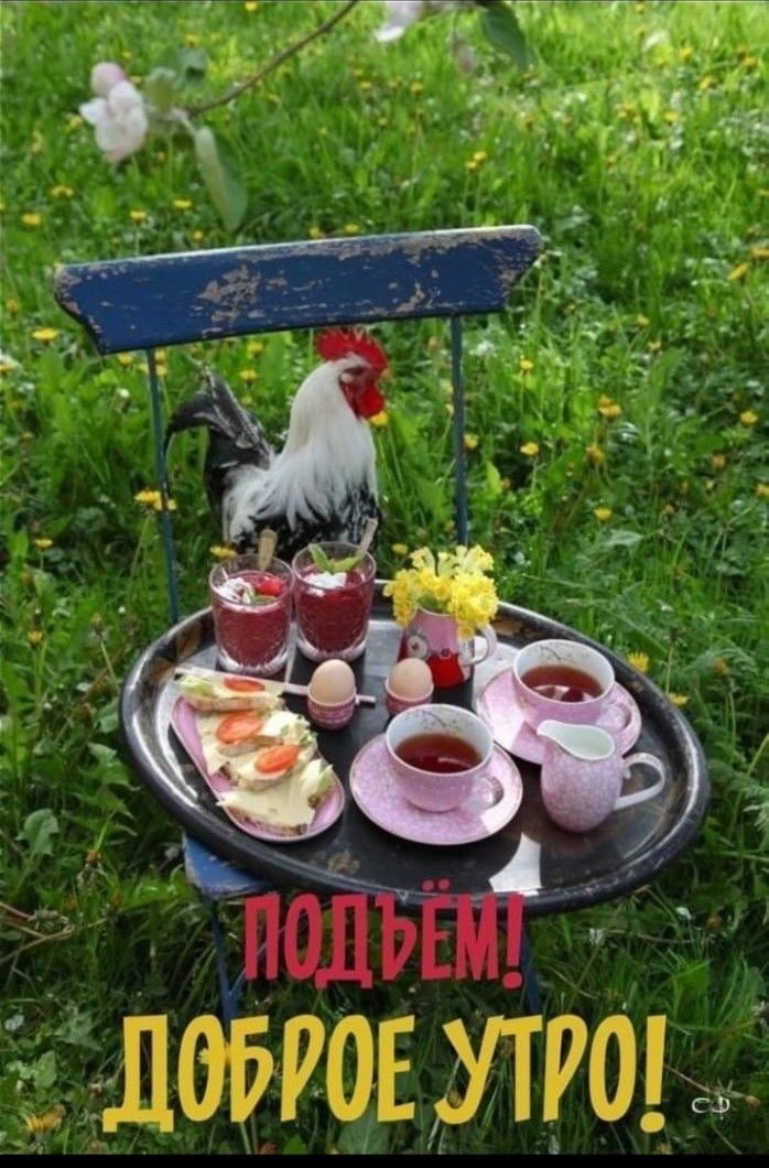 ЛОБРОЕ УТРОП