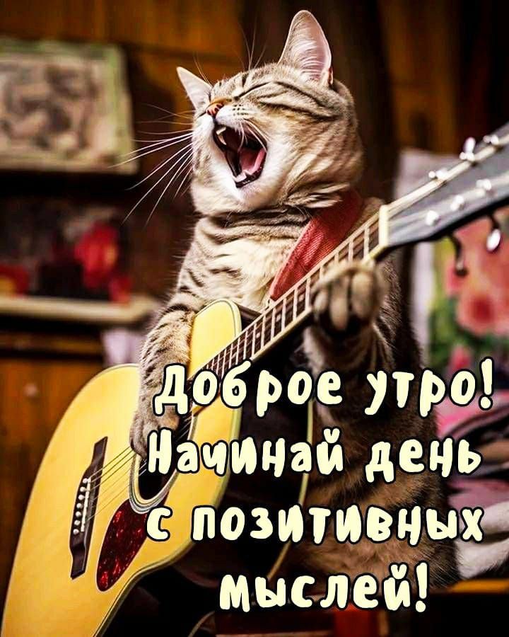 щин тозитивч мыслей ісішаиьчщу ЗУ д вхо 0131 Р