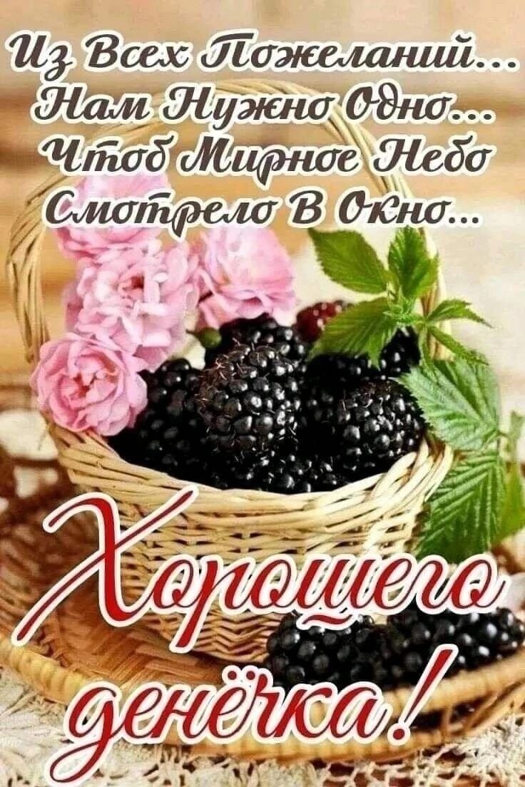 163 Всех Лажшнші Лам шут МЭШ Чпшд Ищите жаба битнымш В жни