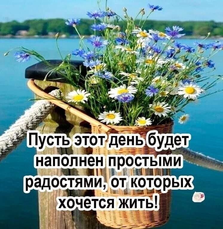наполнен простыми ППШ радостями от которых хочется жить