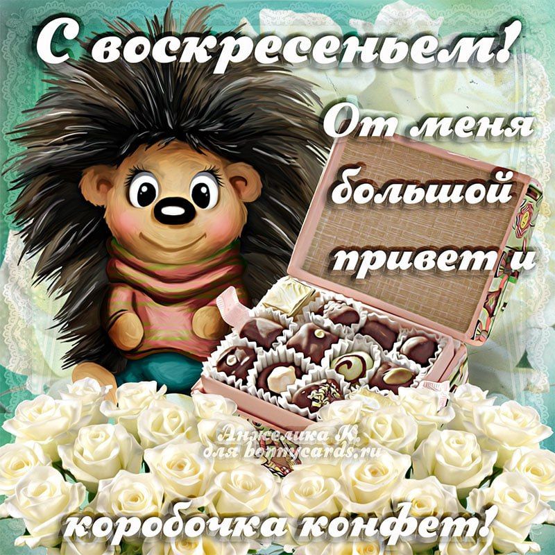 і ітіыёгтттётіл