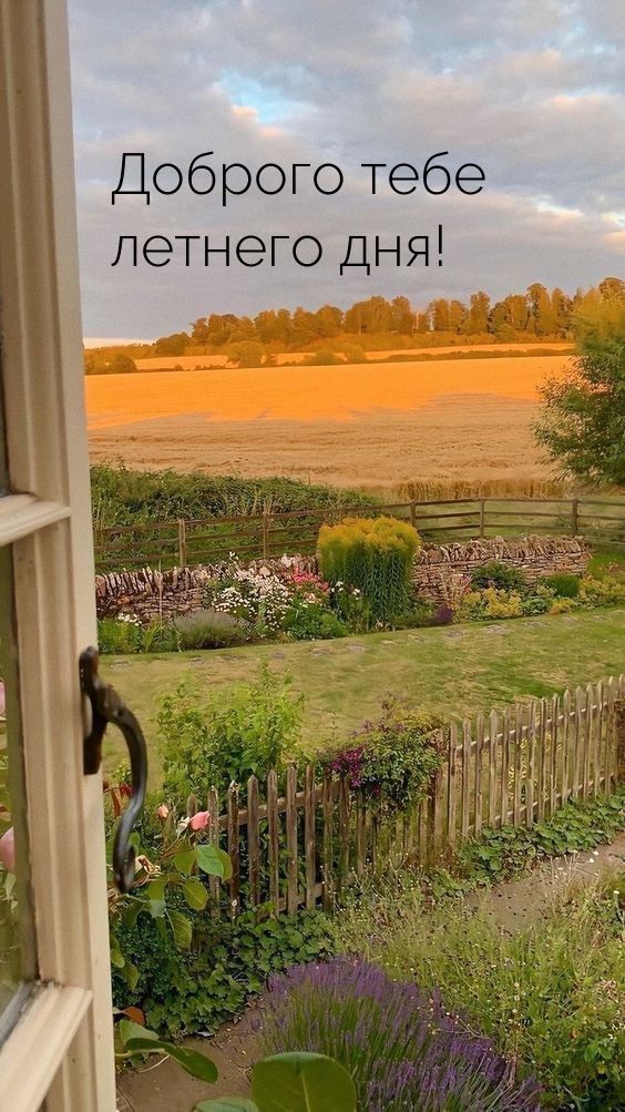 Доброго тебе летнего дня