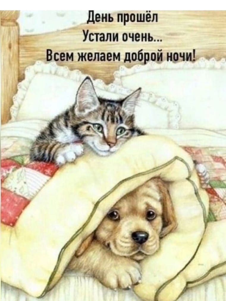 день прошёл Упали очень и 18 желаем Ё