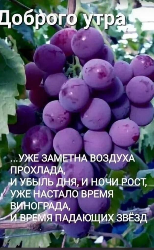 у ужв ЗА ЕТНА воздухА пррхлЬ _ м5 я и нечигасЬ АСТАЛО время о ПАдАЮЩИХ зЁзл ЁЁ 111