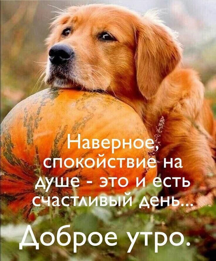 и 5 Наверное Ё спокойствие на душе это есть счастд _ маны обвое у1Ро