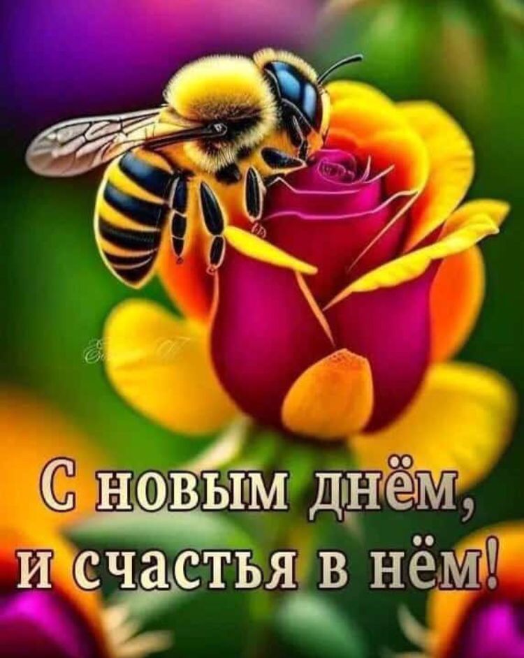 ніоівым дпНГёТМ пассаты в нё 5