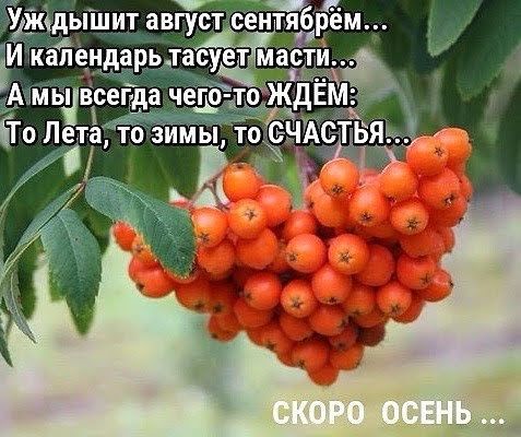 жсдыШит август сентяб