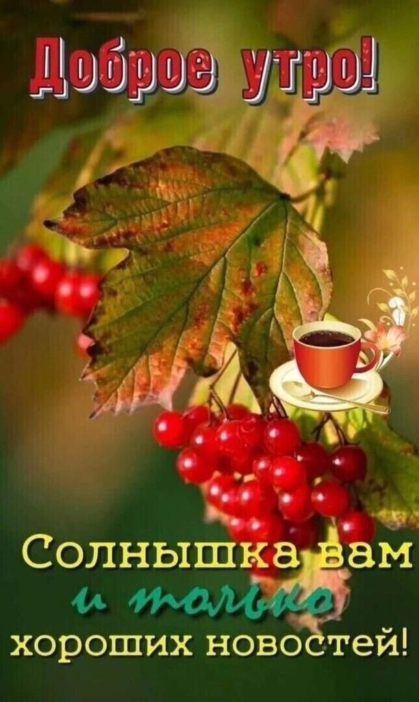 Солнышка ам хороших ново тей