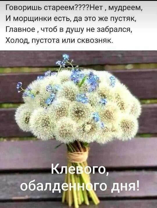 Говоришь стареемНет мудреем И морщинки есть да это же пустяк Главное чтоб в душу не забрался Холод пустота или сквозняк