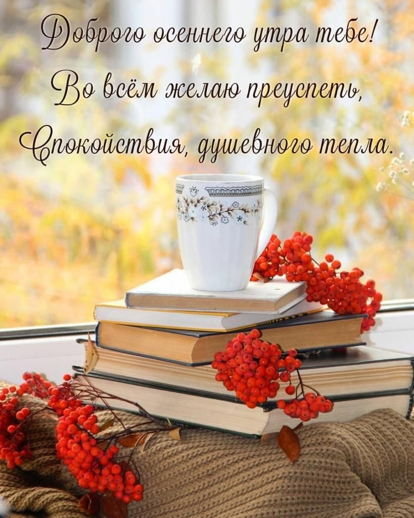 фир тебе боди тщетепц Сеюжейстбмя 6г9