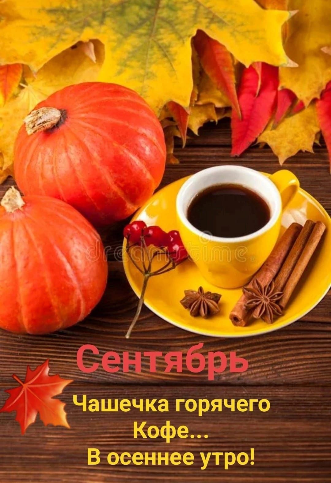 Чаыечиа горячему моба