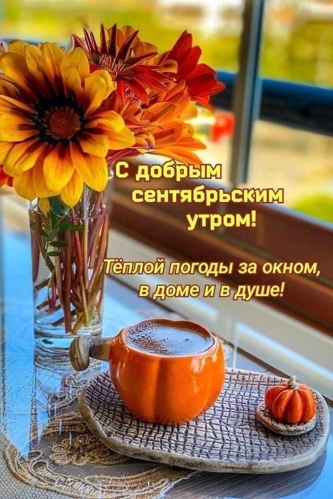 С добізыы