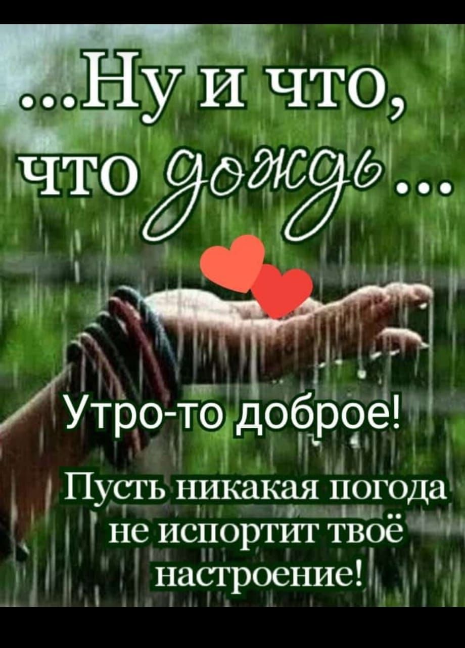 Утро тЪдоброе ПУСГЬ НИКаКЁйя 1119г Ода ие испортит твое настроение