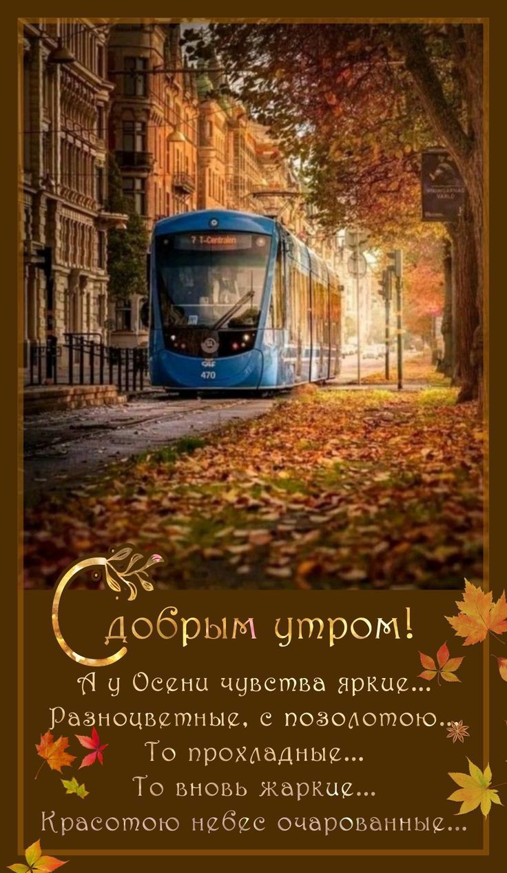 Добрым утром П А Осипа ччветва яркие Разноцветные поаолотоюж То прохдадные То вновь жаркие Красотою 626 очарованньщ