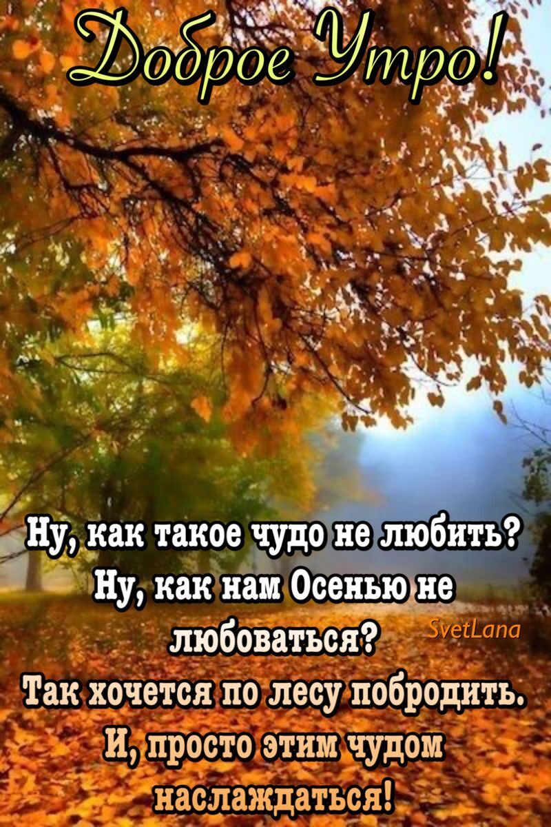 ну как такое чудо ШЭ любить Ну как наъ Осенью не ипросто этимнудом 7 лаждаться Ёд гл