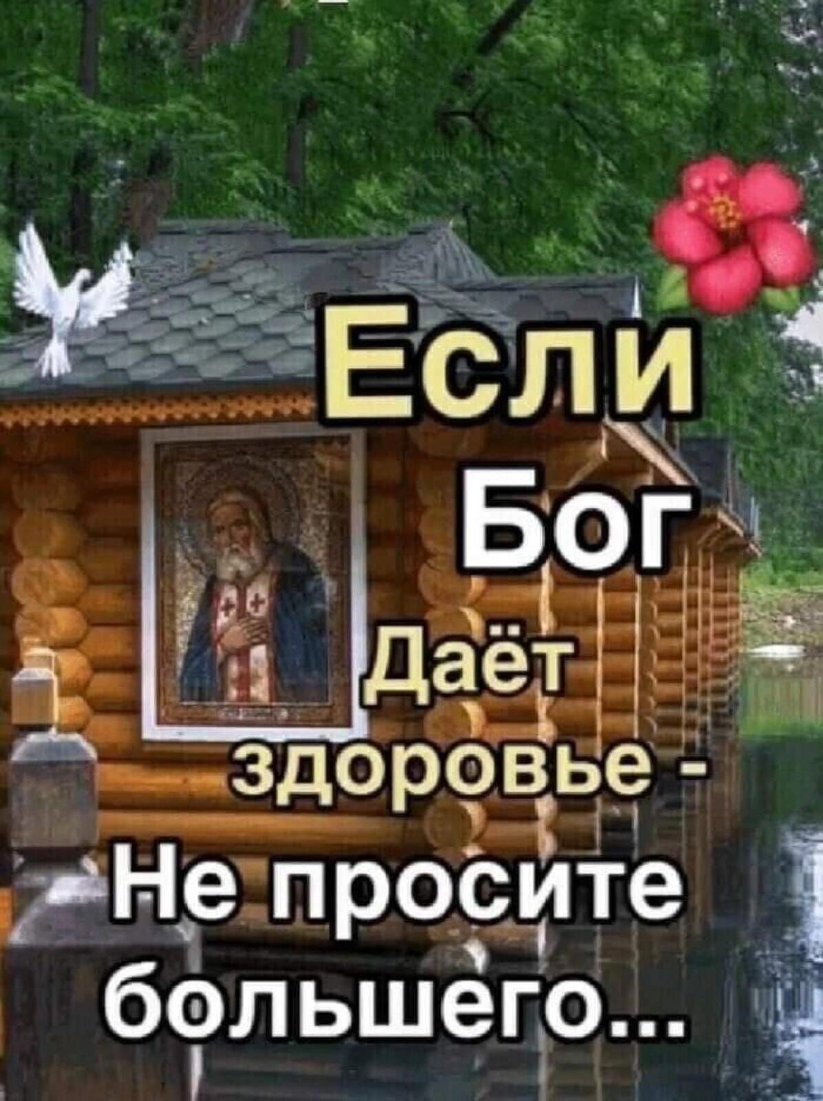 _ гаБОГ ЁЁ Даёт ші вдорчвьі рнчешрОЁПе бэльшёгіо