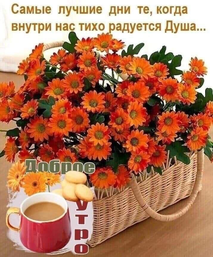 Самые лучшие дни те когда внутри нас тихо адуется душа